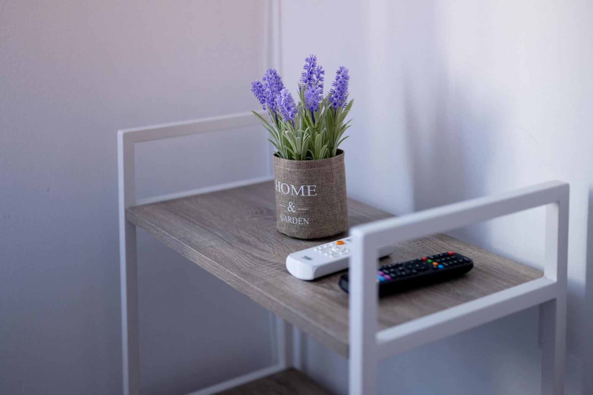 Moise House - Kosher Aparthotel 부쿠레슈티 외부 사진